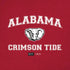 University of Alabama Crimson Tide Basketball iPhone XS Skin