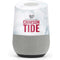University of Alabama Crimson Tide Net Google Home Skin