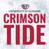 University of Alabama Crimson Tide Net PS4 Controller Skin