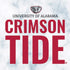University of Alabama Crimson Tide Net PS4 Pro Bundle Skin