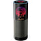 Disney Aladdin A Whole New World Art Amazon Echo Skin