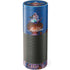 Disney Aladdin and Jasmine Magic Carpet Amazon Echo Skin