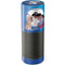 Disney Aladdin and Princess Jasmine Kiss Amazon Echo Skin