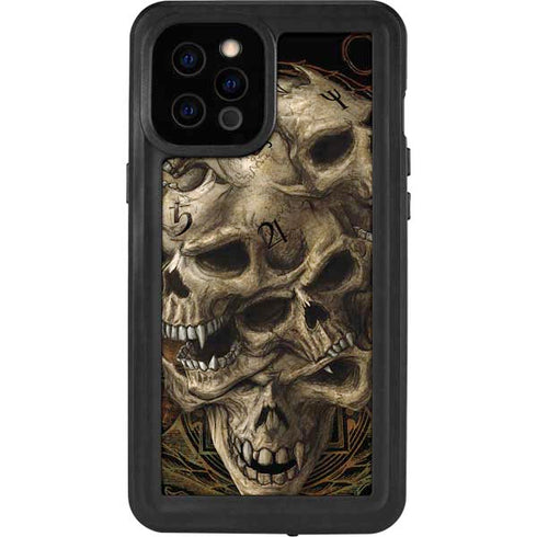 Alchemy Carta Gestaltkopf iPhone 12 Pro Max Waterproof Case