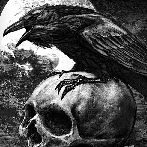 Alchemy Carta Poe's Raven Nintendo 2DS XL (2017) Skin