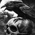 Alchemy Carta Poe's Raven Nintendo 2DS XL (2017) Skin