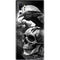 Alchemy Carta Poes Raven Galaxy Note 10 Plus Skin