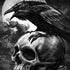 Alchemy Carta Poe's Raven Galaxy Note 8 Skin