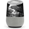 Alchemy Carta Poe's Raven Google Home Skin