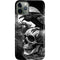 Alchemy Carta Poe's Raven iPhone 11 Pro Lite Case