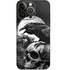 Alchemy Carta Poe's Raven iPhone 15 Pro Skin