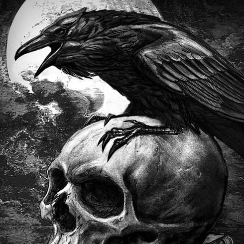 Alchemy Carta Poe's Raven Moto G6 Skin