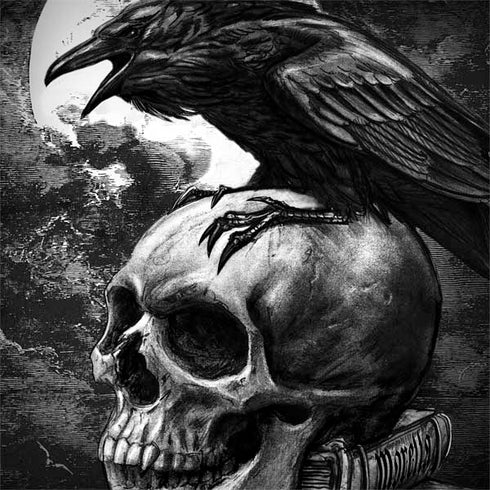 Alchemy Carta Poe's Raven Notebook 9 Pro 13in (2017) Skin