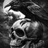 Alchemy Carta Poe's Raven Notebook 9 Pro 13in (2017) Skin