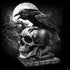 Alchemy Carta Poe's Raven PS4 Pro/Slim Controller Skin