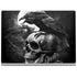 Alchemy Carta Poe's Raven Surface Book 2 13.5in Skin