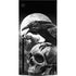 Alchemy Carta Poe's Raven Xbox Series X Console Skin