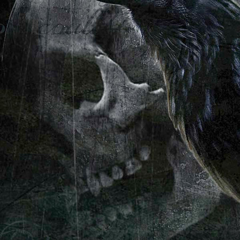 Alchemy Carta Ravens Curse iPhone XS Skin