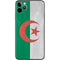 Algeria Flag Distressed iPhone 11 Pro Max Skin
