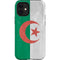 Algeria Flag Distressed iPhone 12 Mini Impact Case