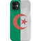 Algeria Flag Distressed iPhone 12 Mini Lite Case