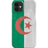 Algeria Flag Distressed iPhone 12 Mini Lite Case