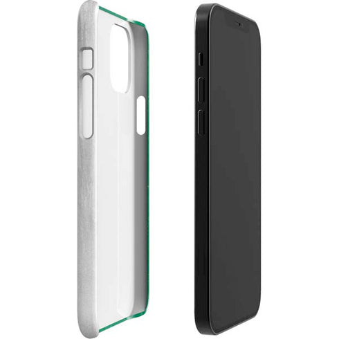 Algeria Flag Distressed iPhone 12 Mini Lite Case