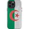 Algeria Flag Distressed iPhone 15 Pro Max Impact Case