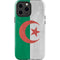 Algeria Flag Distressed iPhone 14 Pro Max Impact Case