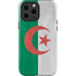 Algeria Flag Distressed iPhone 14 Pro Max Impact Case