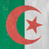 Algeria Flag Distressed iPhone XS Max Skin