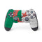 Algeria Flag Distressed PS4 Controller Skin