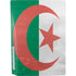 Algeria Flag Distressed PS5 Bundle Skin