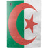 Algeria Flag Distressed PS5 Console Skin