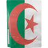 Algeria Flag Distressed PS5 Console Skin