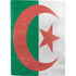 Algeria Flag Distressed PS5 Digital Edition Bundle Skin