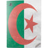 Algeria Flag Distressed PS5 Digital Edition Console Skin