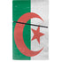 Algeria Flag Distressed PS5 Slim Digital Edition Bundle Skin