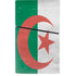 Algeria Flag Distressed PS5 Slim Digital Edition Console Skin
