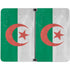 Algeria Flag Distressed Surface Duo Skin
