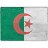 Algeria Flag Distressed Surface Pro 9 Skin