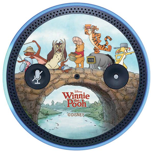 Disney Winnie the Pooh All Characters Amazon Echo Skin