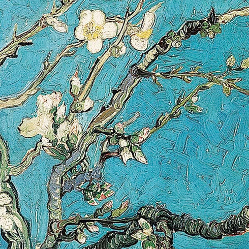 Vincent Van Gogh Almond Branches in Bloom Moto E5 Play Skin
