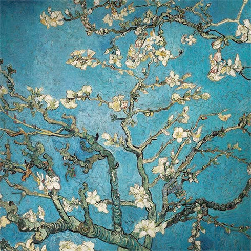 Vincent Van Gogh Almond Branches in Bloom Surface Book 2 13.5in Skin