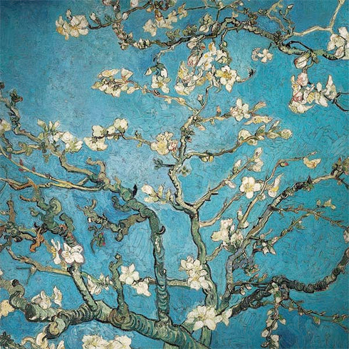Vincent Van Gogh Almond Branches in Bloom Surface Book 2 15in Skin