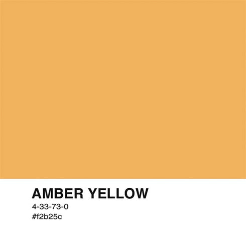 Amber Yellow Nintendo 2DS XL (2017) Skin