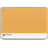 Amber Yellow HP Chromebook Skin