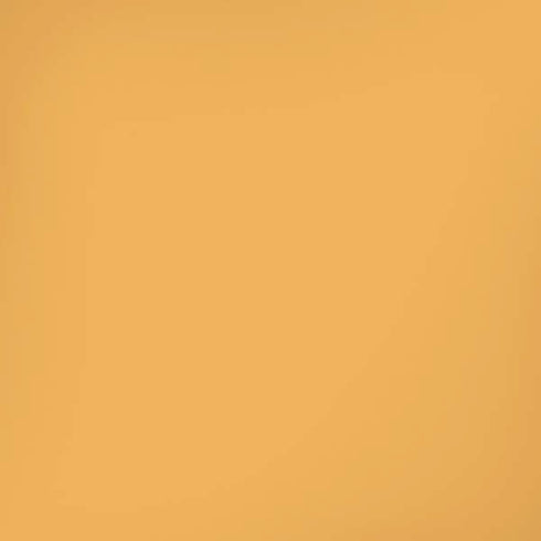 Amber Yellow iPhone X Pro Case