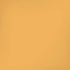 Amber Yellow iPhone X Pro Case