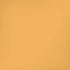 Amber Yellow iPhone XR Pro Case
